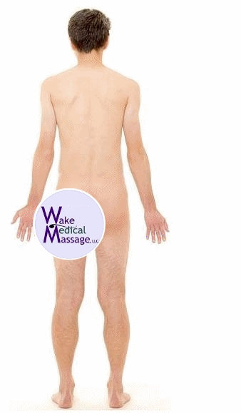 Therapeutic Medical / Clinical Massage Cary, NC